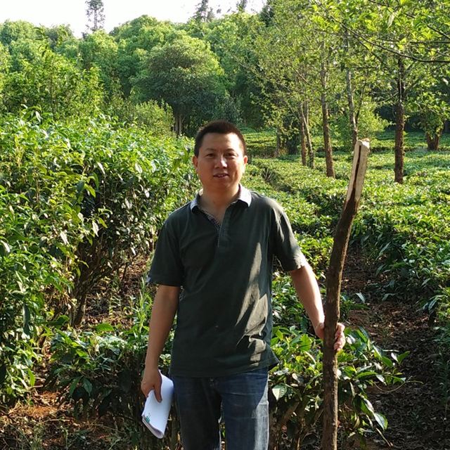 娄自田 · 云南大邦茶业有限公司创始人